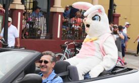 The Easter Bunny in a new convertible in the Easter Parade in St. Augustine. Photo by Jackie Hird Photography.