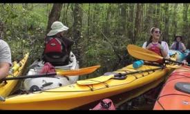 St. Johns County Today: Kayaking