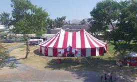 VENARDOS CIRCUS PROMO