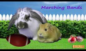 Be in the 58th Easter Parade