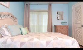 Crescent Sandpiper #210 Video