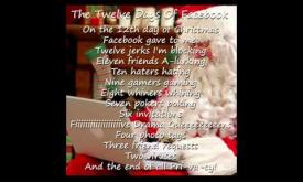 "The 12 Days of Facebook" 