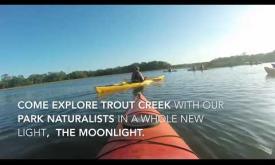 Moonlight Kayak Trip - St. Johns County Naturalist