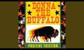 "Positive Friction" by Donna The Buffalo