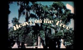 Heavy on the Tree — Graves B'hamala