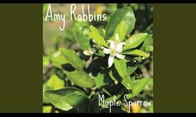 "Blame the Whiskey" performed by Amy Robbins 
