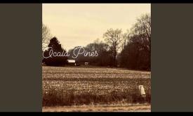  "Ocala Pines" composed and performed by Zach Haywood 