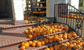 The First United Methodist Church offers pumpkins every year in St. Augustine, Florida.