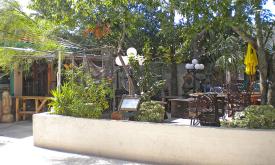 Enjoy the tropical atmosphere at the Backyard Island Cafe. 