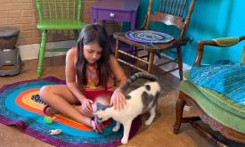 Bring your kids to Witty Whisker Cat Cafe in St Augustine