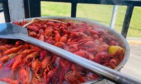 Crawfish is the signature dish at JAG Boilers food truck in St. Augustine, FL