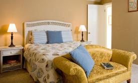 Our Beach lodgings have various bedroom options, with king, queen, twin, bunk, and queen sofa beds.