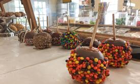Candy apples covered in Reese's Pieces, M&Ms, and nuts sit on a countertop at Savannah Sweets.