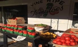 Vine ripe tomatoes at Currie Brothers Market in St. Augustine, FL.