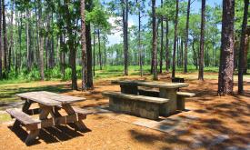 One of the picnic areas at Faver-Dykes State Park.