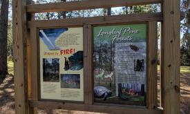 One sign, describing the burning forest management policy at Faver-Dykes State Park in St. Augustine.