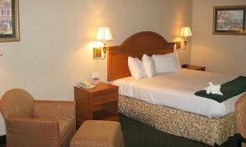 Best Western Seaside hotel room in St. Augustine, FL. 