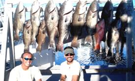 Endless Summer Charters offers deep sea fishing and sport fishing.