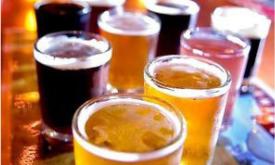 Guests of Tasting Tours in St. Augustine, Fl can learn about craft beers. 