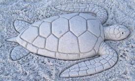 A turtle sand sculpture by the Art Studio of St. Augustine!
