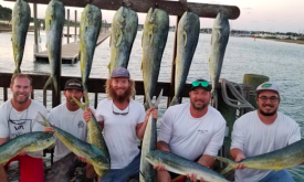 Five fishermen holding mahi-mahi fish in St. Augustine, FL.