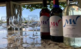 Enjoying Maestro wines with a view