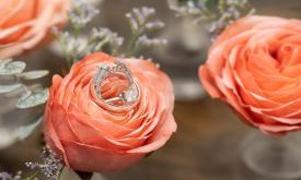 Wedding flowers and rings shot by Troy McClenathan Photography in St. Augustine.