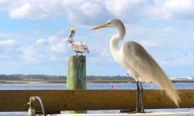 Local residents at the Usina Boat Ramp in the Vilano Beach area of St. Augustine, FL.