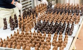 Chocolate bunnies being prepared 