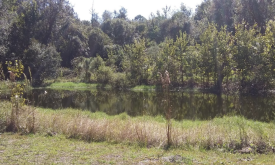 Yarborough tract pond in the Deep Creek Conservation Are
