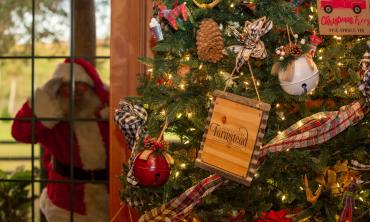 A Christmas Tree inside, with Santa peeking through the window