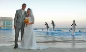 Marineland Dolphin Adventure offers a truly unique venue for a spectacular wedding.