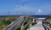 St. Johns County Parks and Recreation Department will lead a beach walk at Mickler's Landing Beachfront Park June 2 and 3, 2021. 