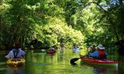 Kayak St. Augustine explores the waterways in and around St. Augustine.