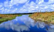 This beautiful photo of the Guana River at 6-Mile landing under a blue sky, was taken by Kevin Kuruvilla.