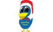 Vilano Holiday Blue Bird