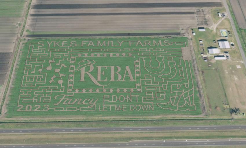 An overhead view of the design of Sykes Farm's corn maze, with Reba McIntyre as a theme