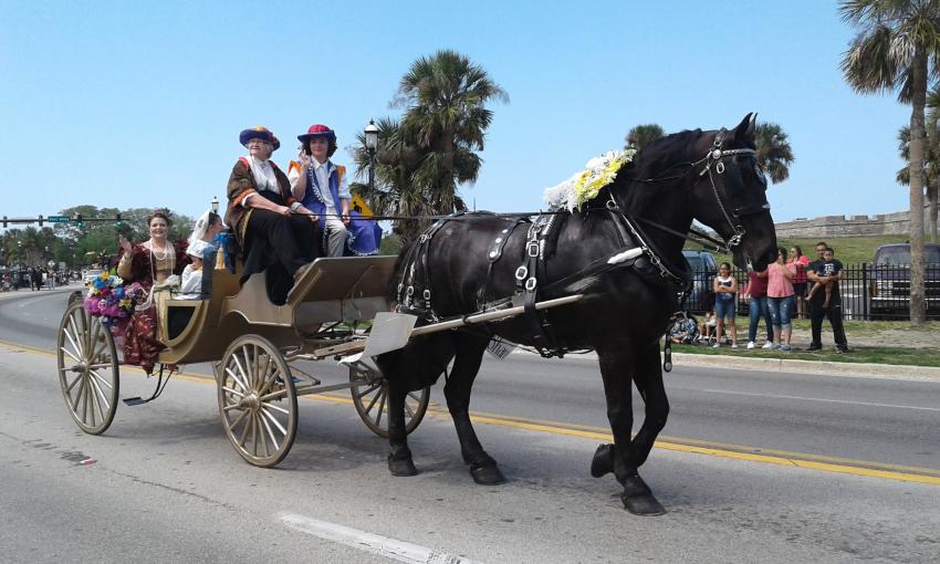 Members of the Royal family sit in an open carriage, hitched to a beautiful black horse 