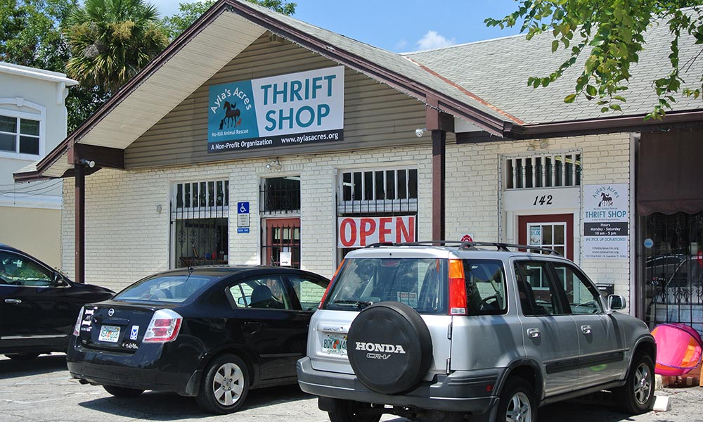 Ayla's Acres Thrift Shop Visit St Augustine