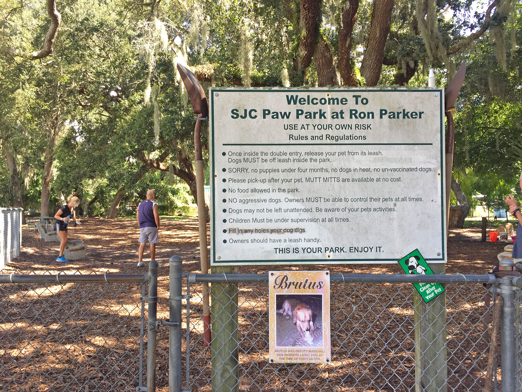 Where To Park In St Augustine Ron Parker Park | Visit St Augustine