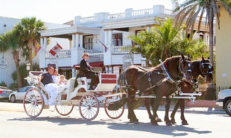 wine and carriage tour st augustine