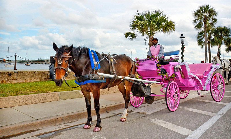 southern carriage tours