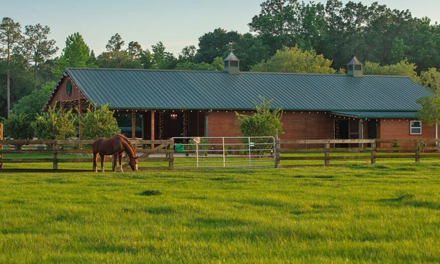 A horse grazing in the field at Kelly Farm Events.