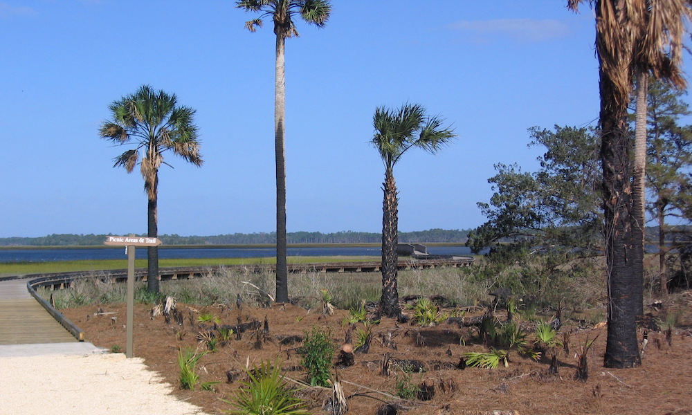 Tolomato Island at Ben Pendergrass blog