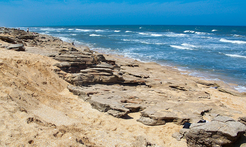 The coquina rocks along the beach shoreline