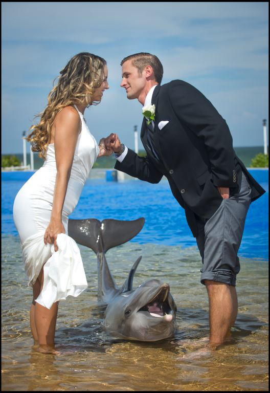 dolphin wedding