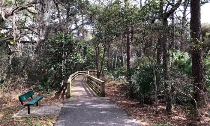 Canopy Shores Park Trail
